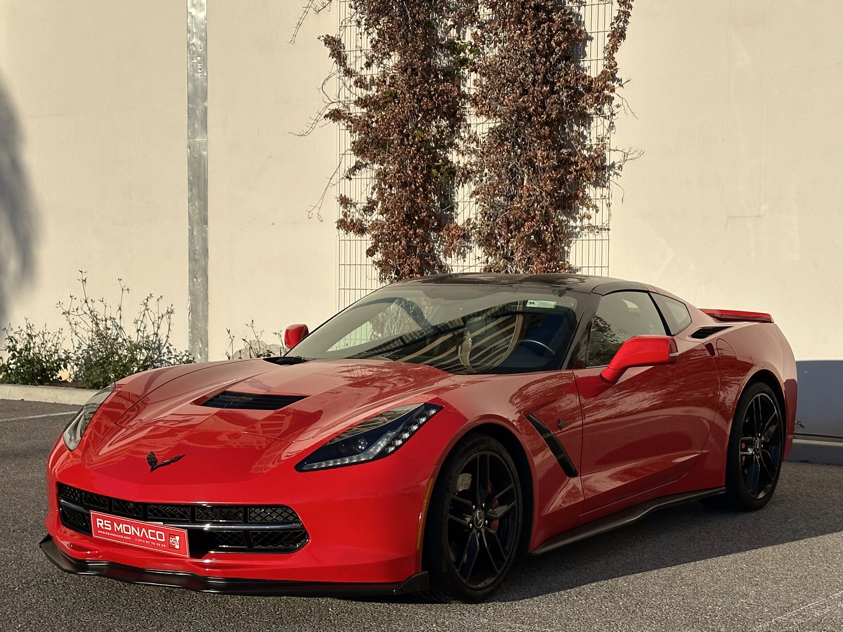 IMG_7457 2 IMG_7457 2